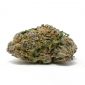 Granddaddy Purple strain