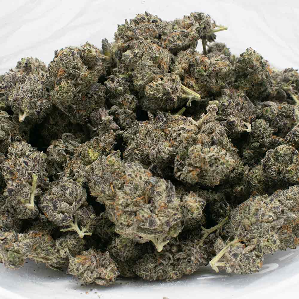 WHITE-TRUFFLE-strain