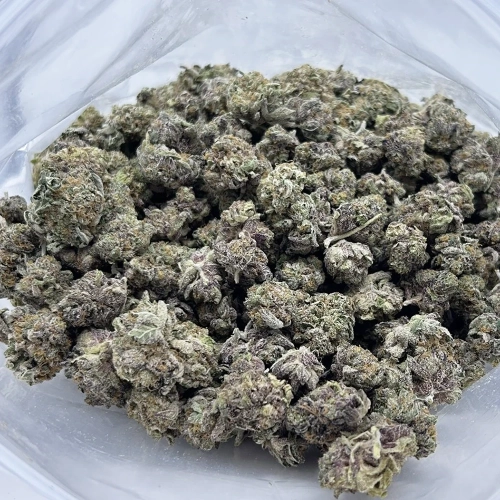sherbquake strain