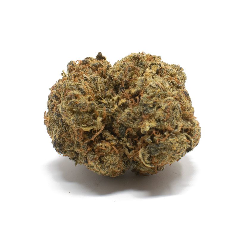 Amnesia-Haze-strain-e1700284671746