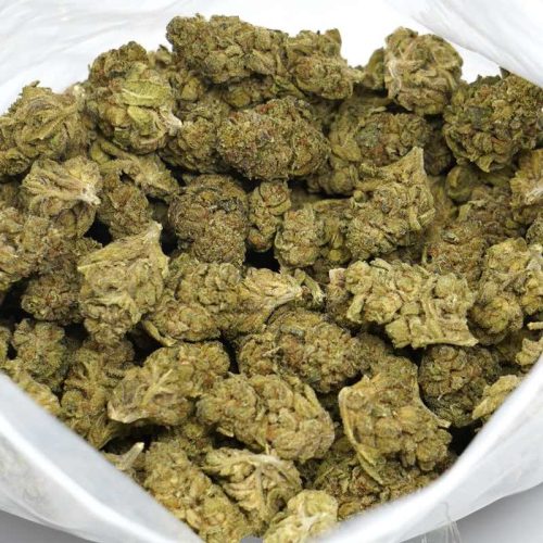 panda puff strain