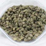 Slurricane (small buds)
