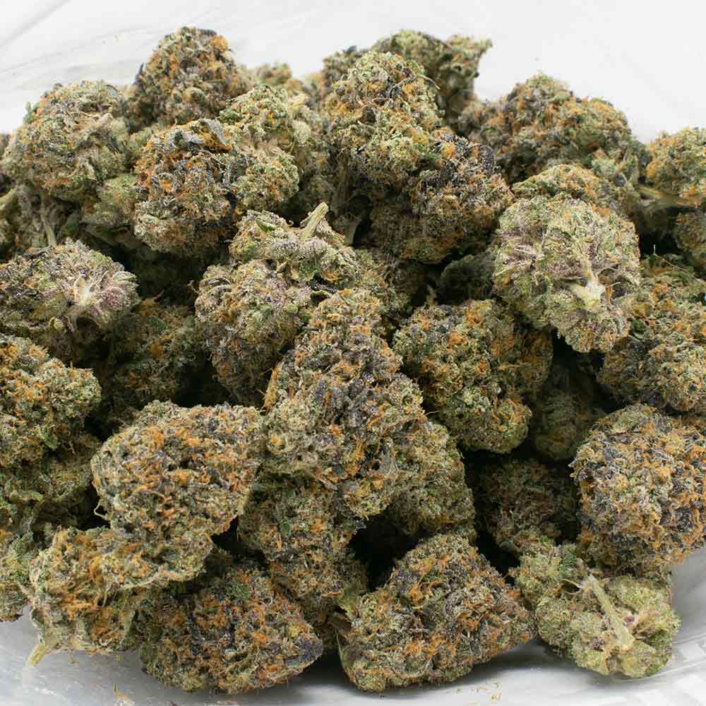 RUNTZ-BUTTONS-strain