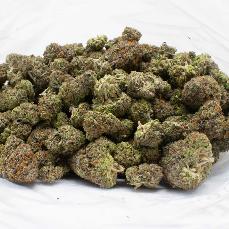 Candy-Cut-strain-1