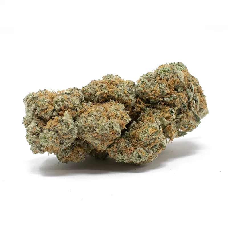   Coco Strain