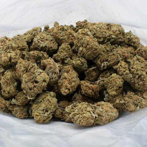 Critical Sour Strain