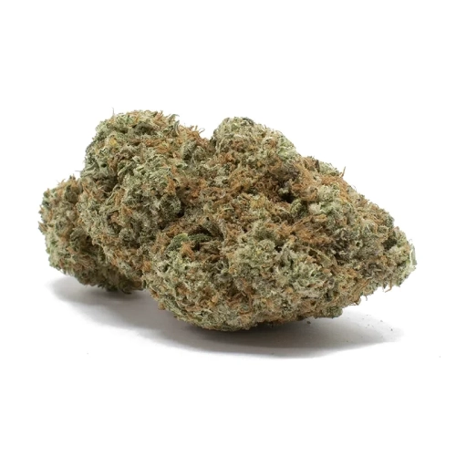 northern lights strain 1 e1730345130490
