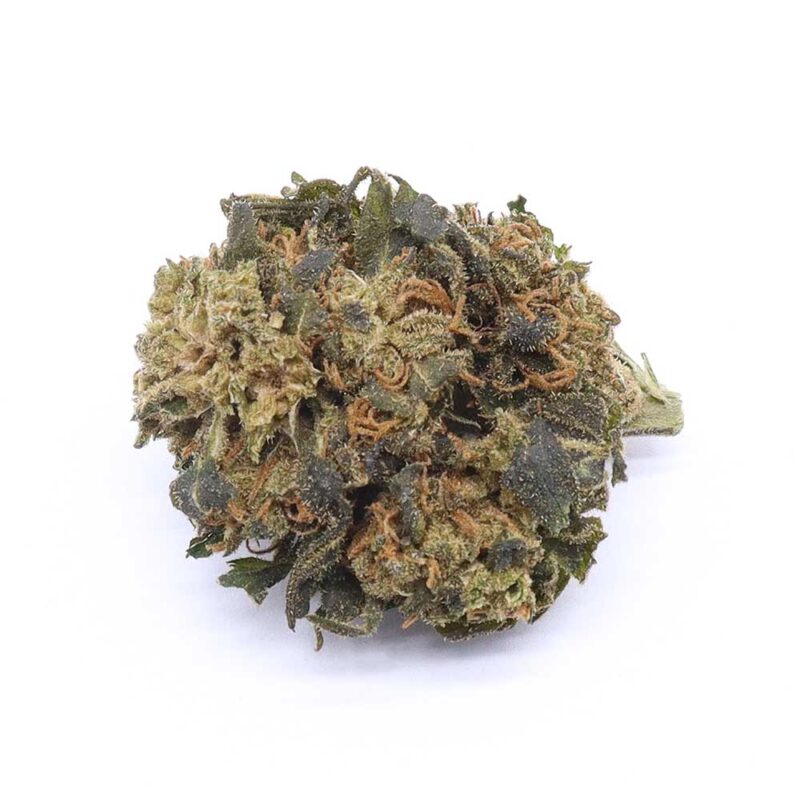 kings-kush-strain King Kush Strain