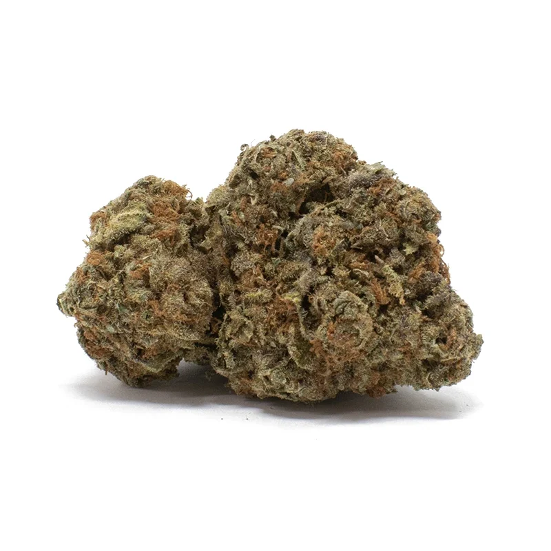 mimosa-strain-2-e1732845333393