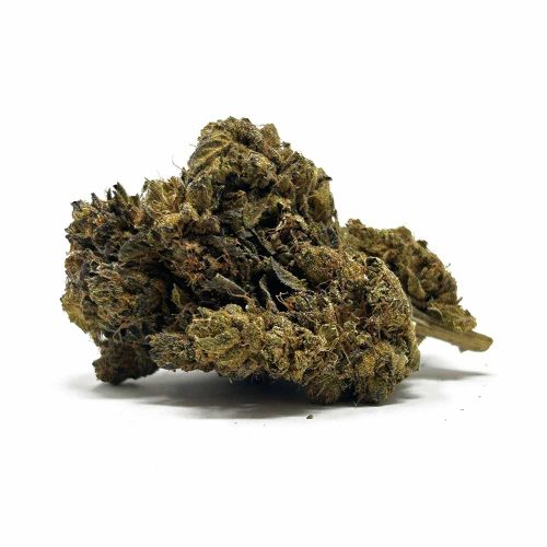 pink kush strain