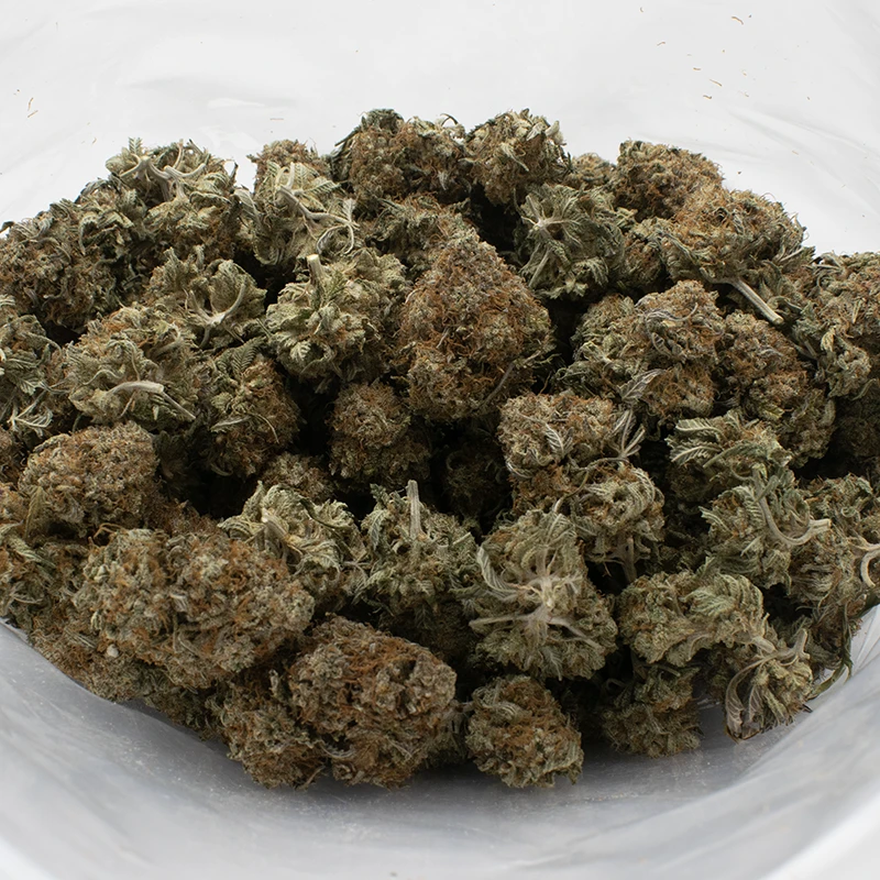 Critical-Sour-Kush-strain-1