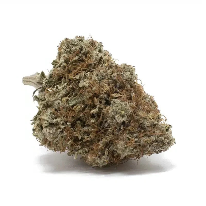 Critical-Sour-Kush-strain-e1737775143576