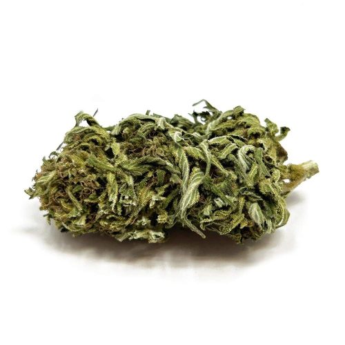 lemon headz strain e1757702665356