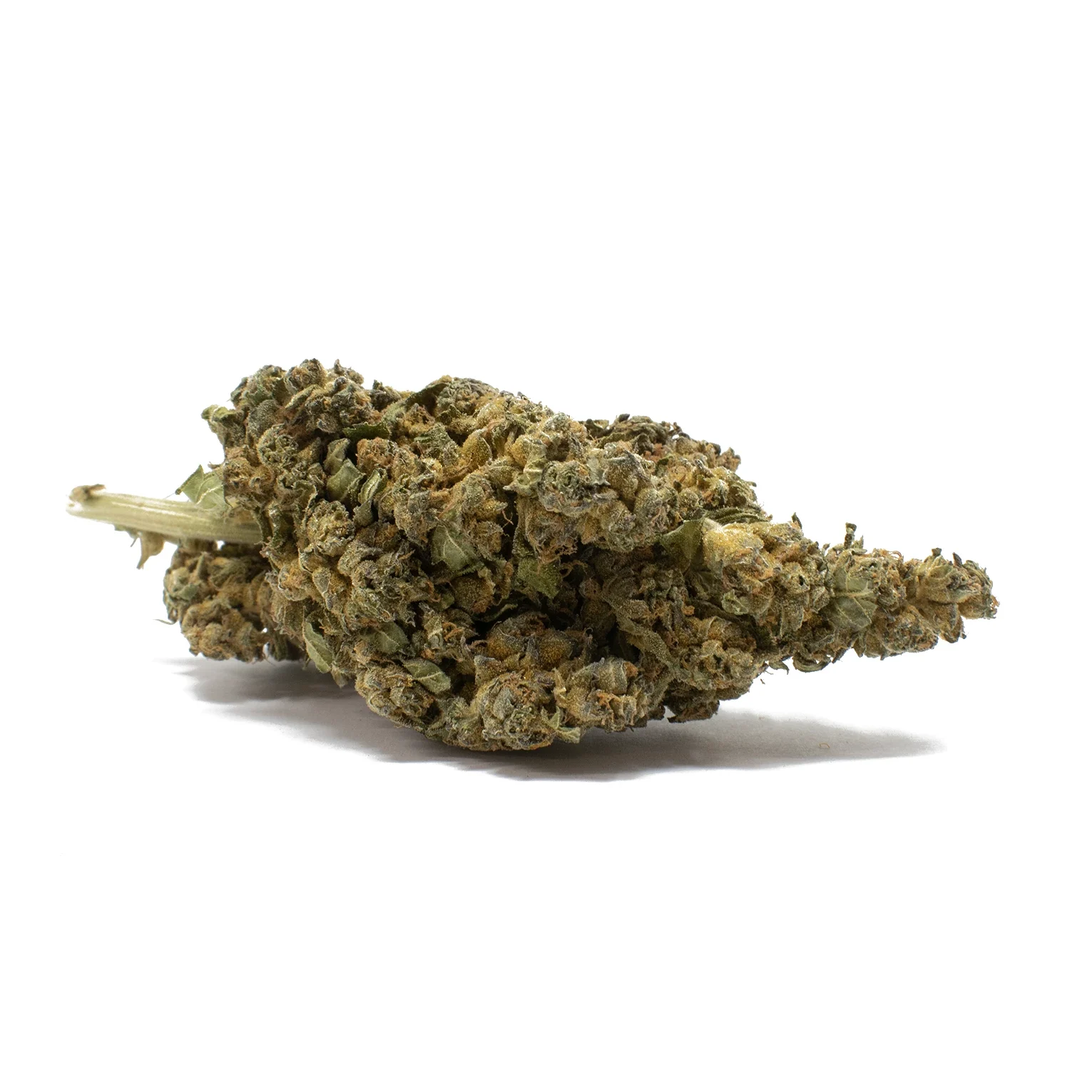 mango-haze-strain-1-e1739024730925