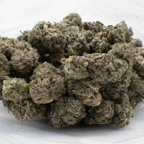Slurricane - Image 2