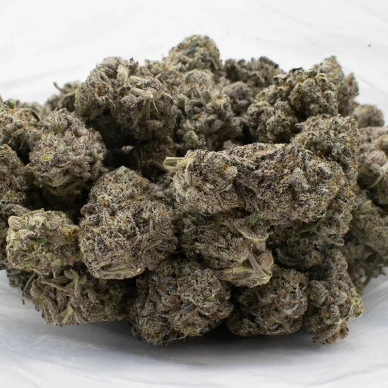 Slurricane