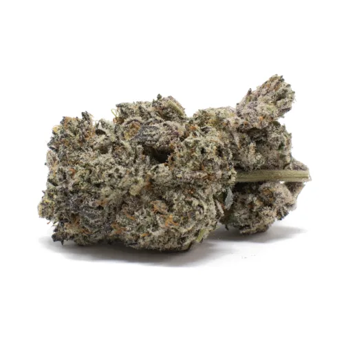 Slurricane Pie Strain