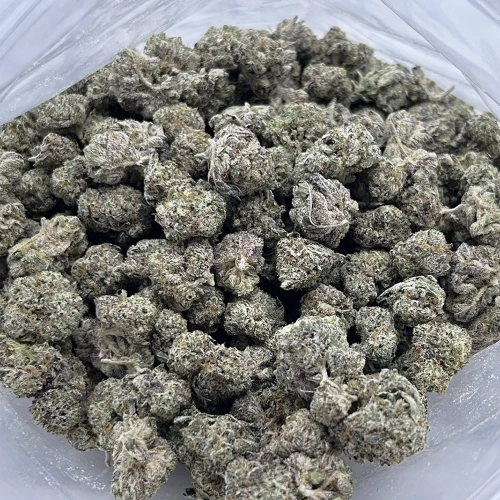 slurry crasher strain