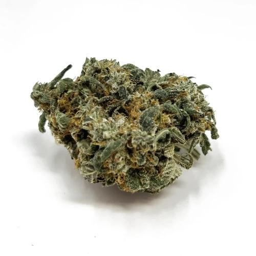 cannoli strain e1751050893169