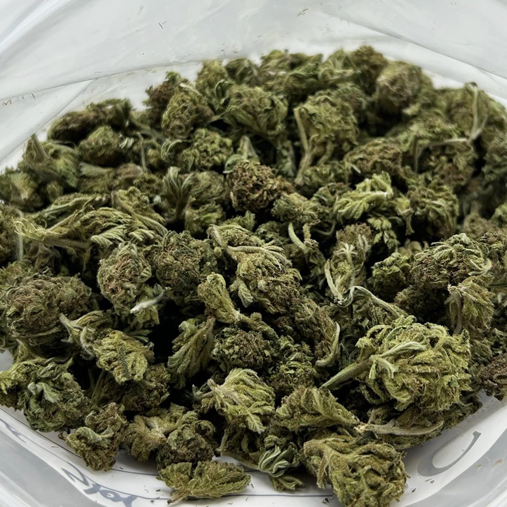 sour-star-strain