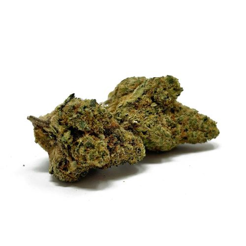 mimosa strain 1 e1758046854198