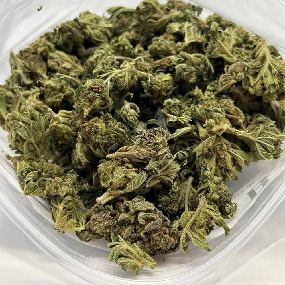 mustard-gas-strain