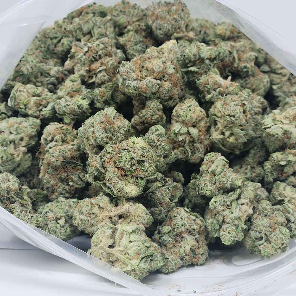 purple-kush-breath-strain-1