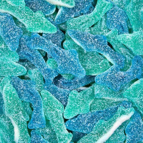 Trippi | Blue Shark - Image 3