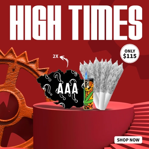 WDK Aug 11 High Times