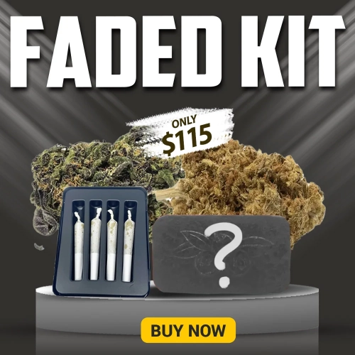 WDK Aug 18 Faded Kit