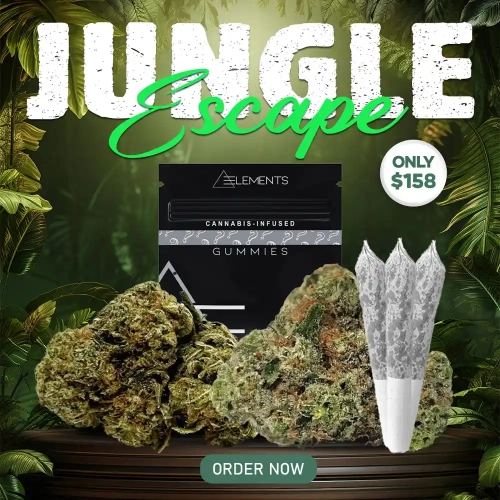 WDK Aug 24 Jungle Escape