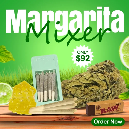 MARGARITA MIXER | 4 FREE GIFTS!