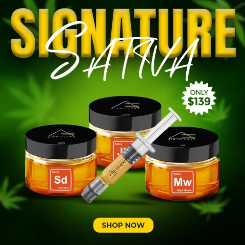 WDK Aug 30 Signature Sativa