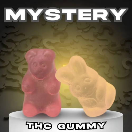 Mystery THC Gummy