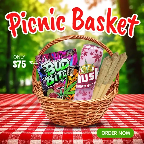 Picnic Basket