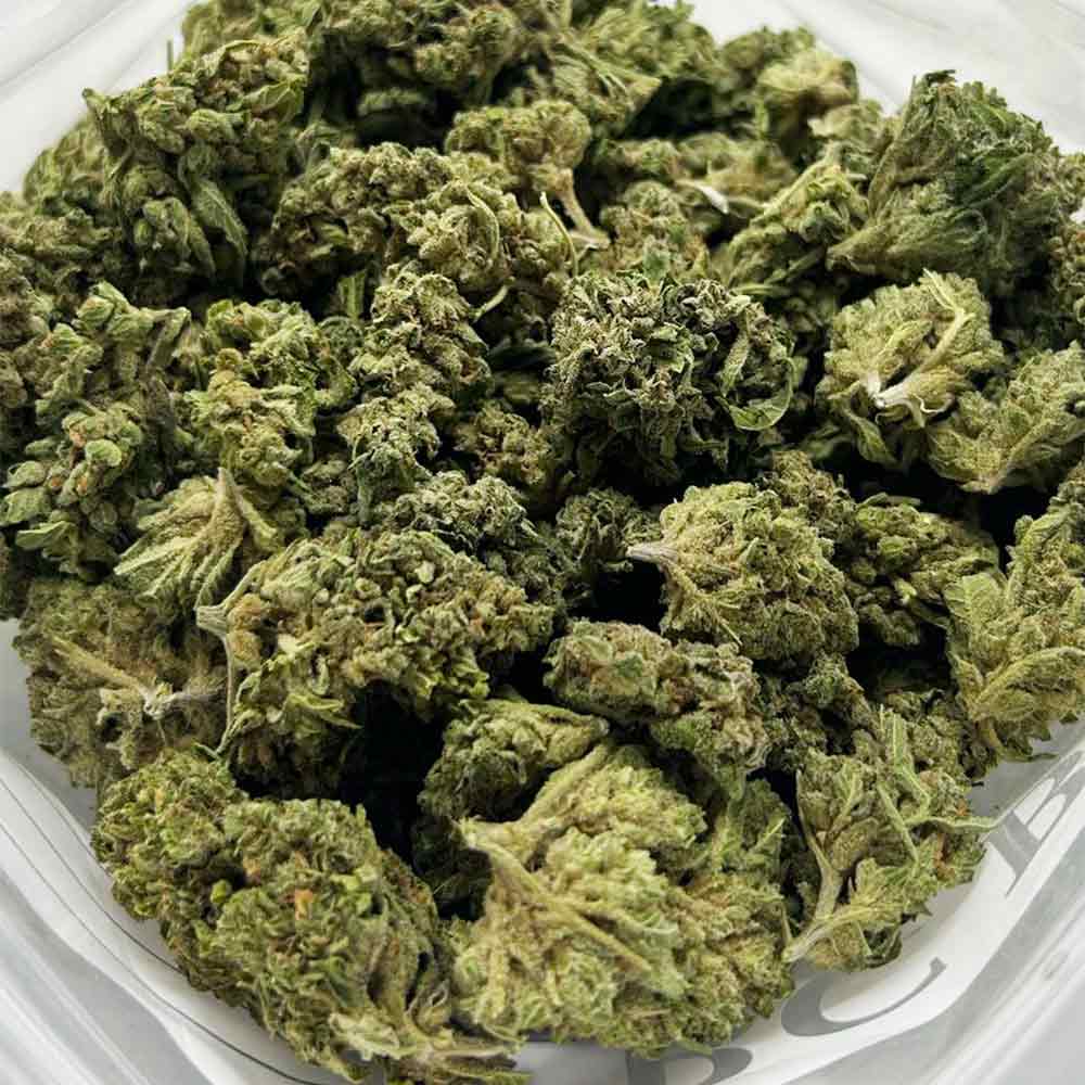 fruit-rollup-strain-1