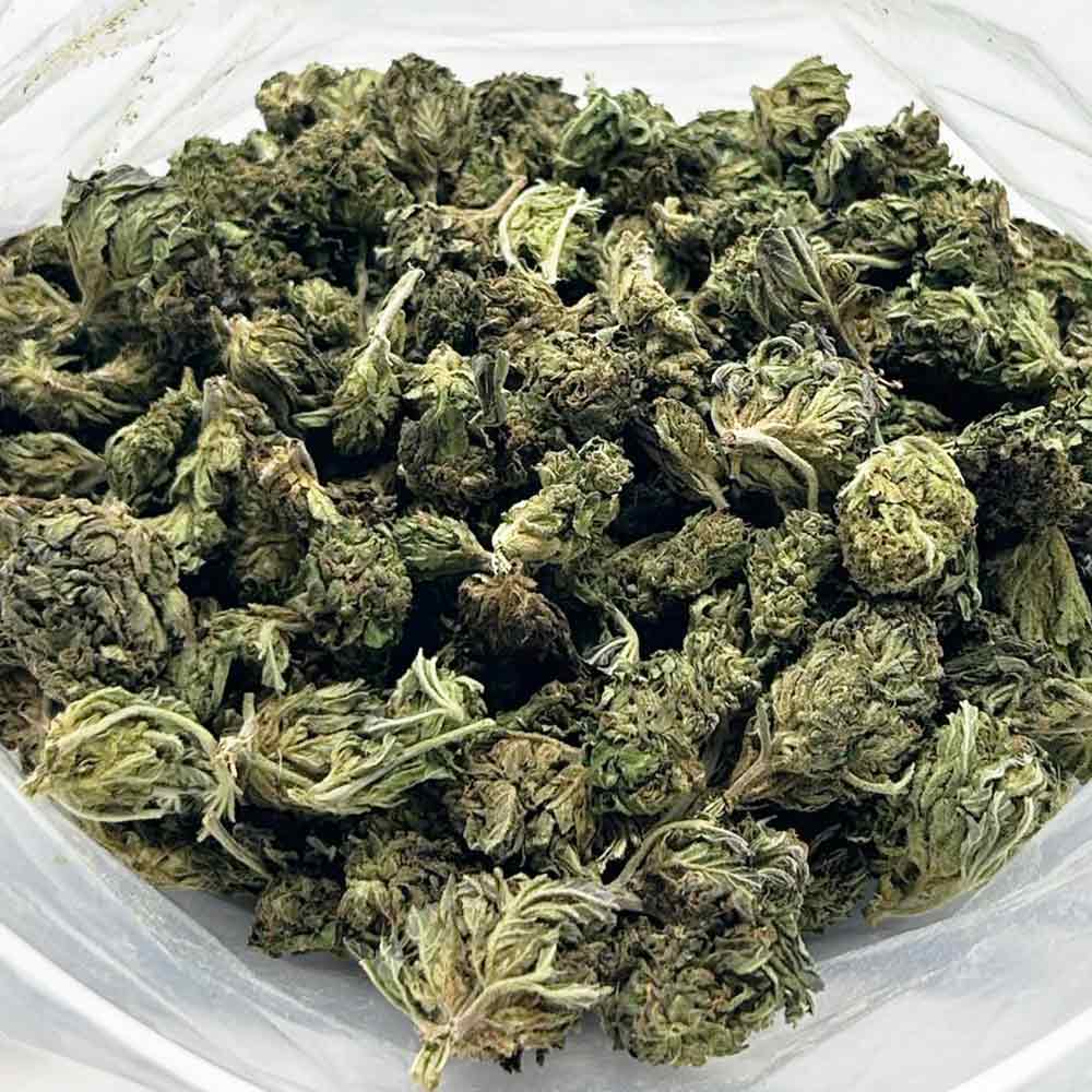 red-dragon-strain