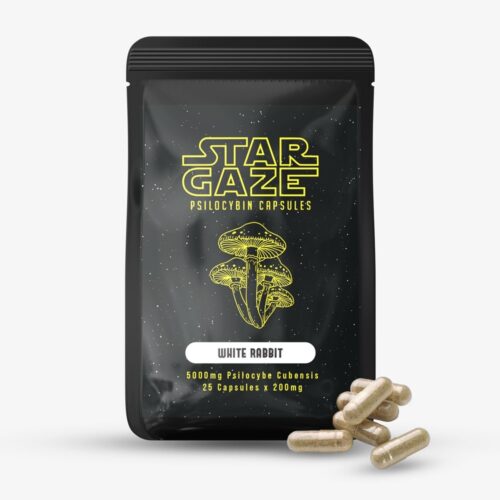 Star Gaze Psilocybin Capsules