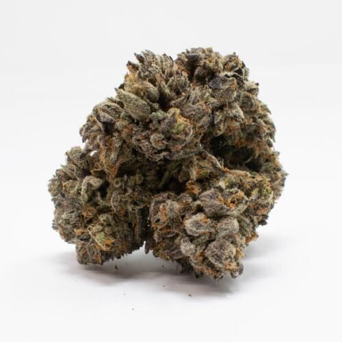 Master Kush strain e1720589394457