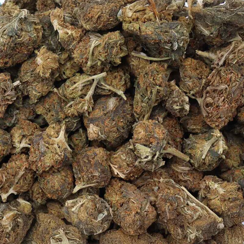 candy shop strain 1