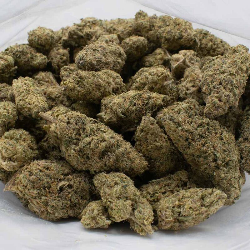 BLUE CAVIAR strain 1