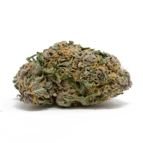 Grand Daddy Purple Strain e1684735483185