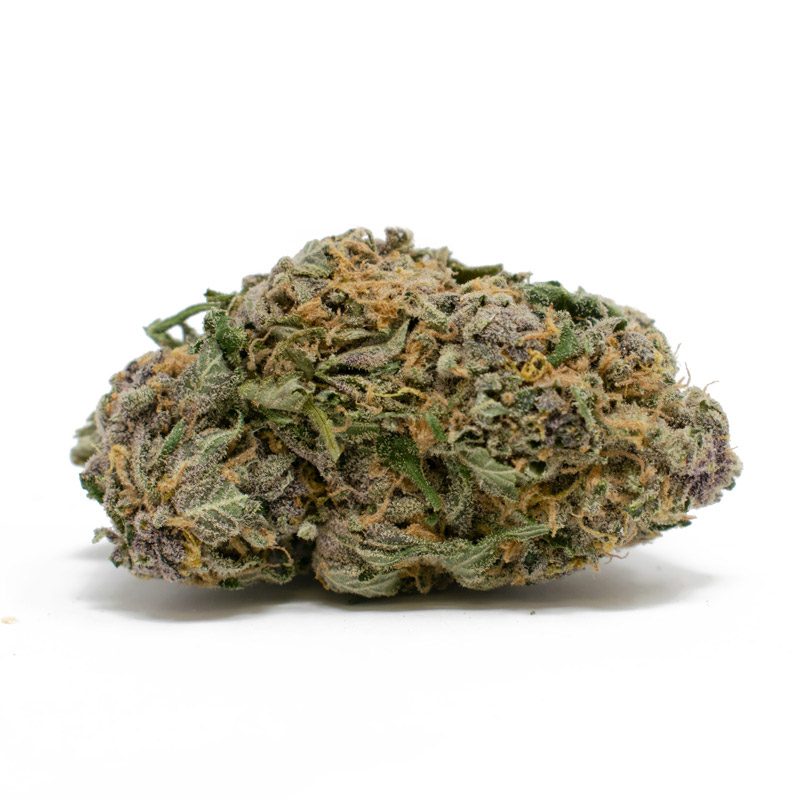 Grand-Daddy-Purple-Strain-e1684735483185