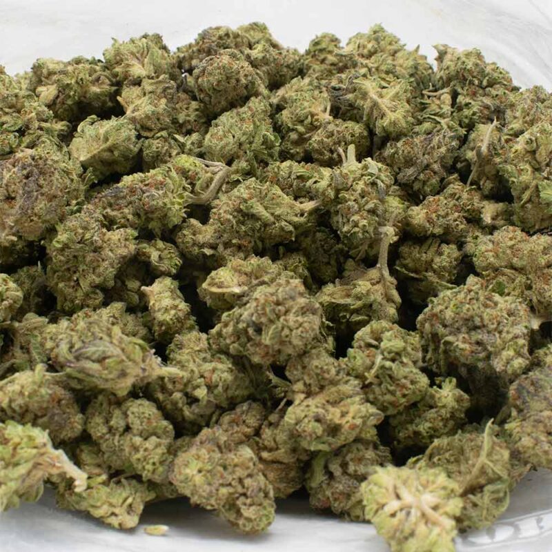 OREOZ strain 1