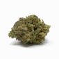Oreoz Strain