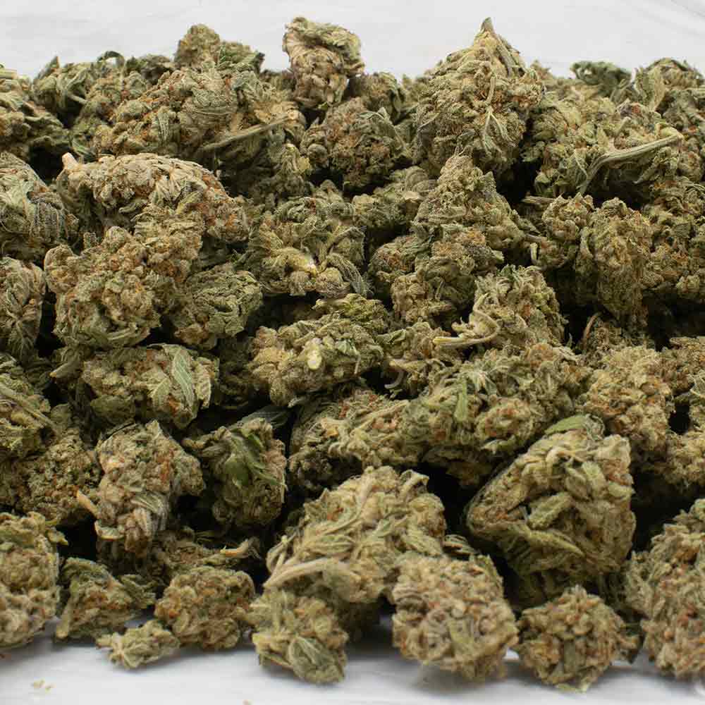 PINK-COOKIES-strain-1