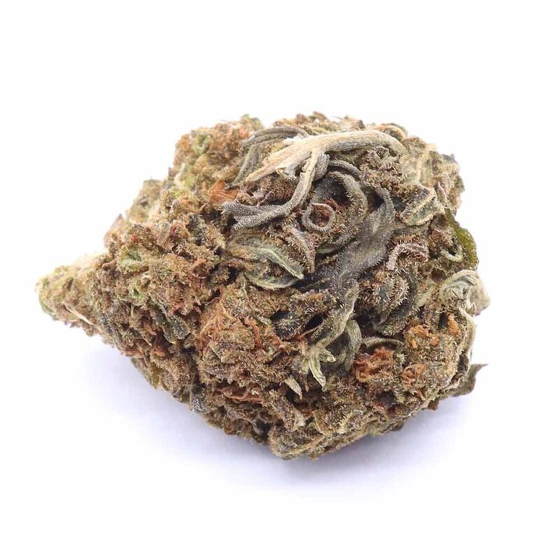candy-shop-strain-e1759430086441 Candy Shop (AA+)