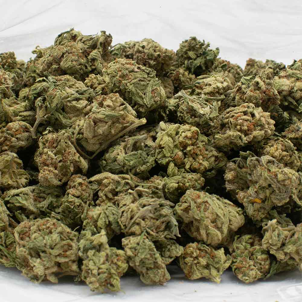 platinum-pink-strain-1