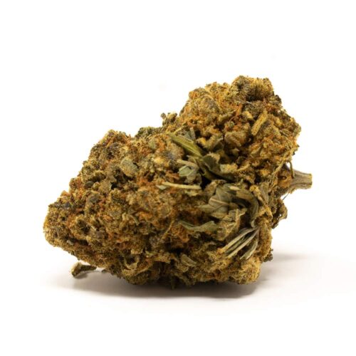 King Louis XIII OG