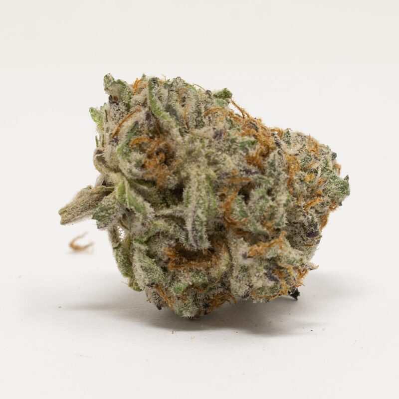 j99-1.jpg J99 Strain